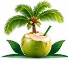 Tender coconut with palm tree — Tender Coconut Company